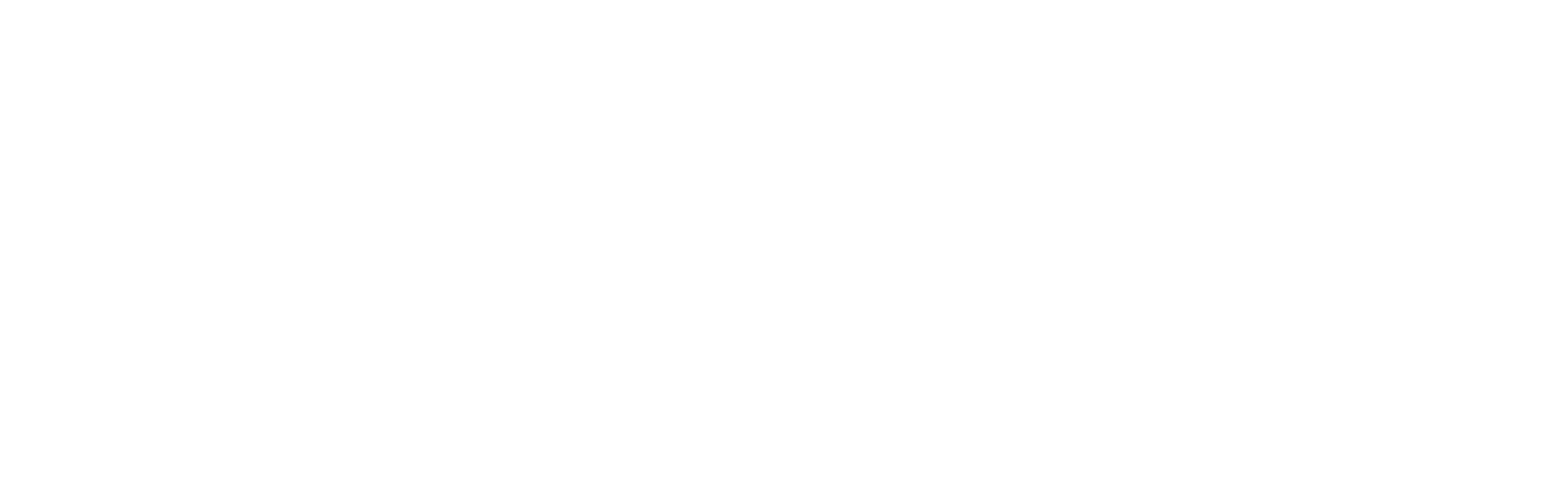LOGO_mbservis-clean_WHITE